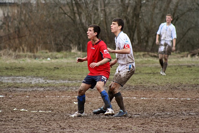 职业生涯添 职业生涯添