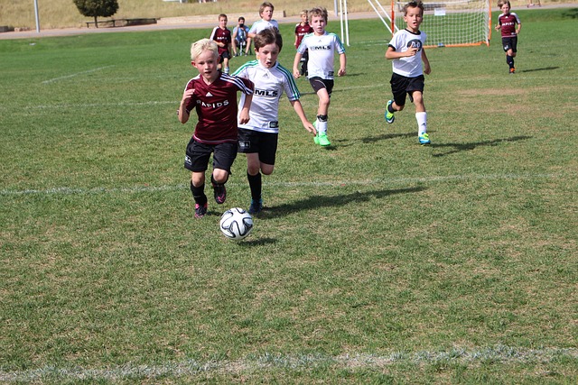 仅适用于体 仅适用于体