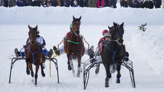 而伦纳德则 而伦纳德则