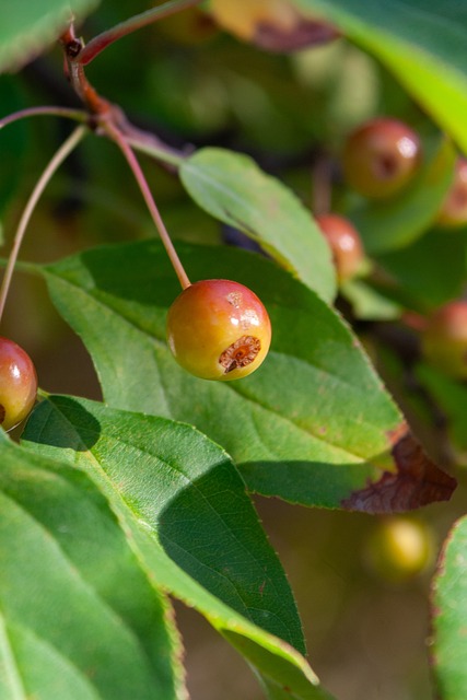 重要调整 重要调整