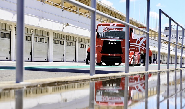 均显示出球 均显示出球